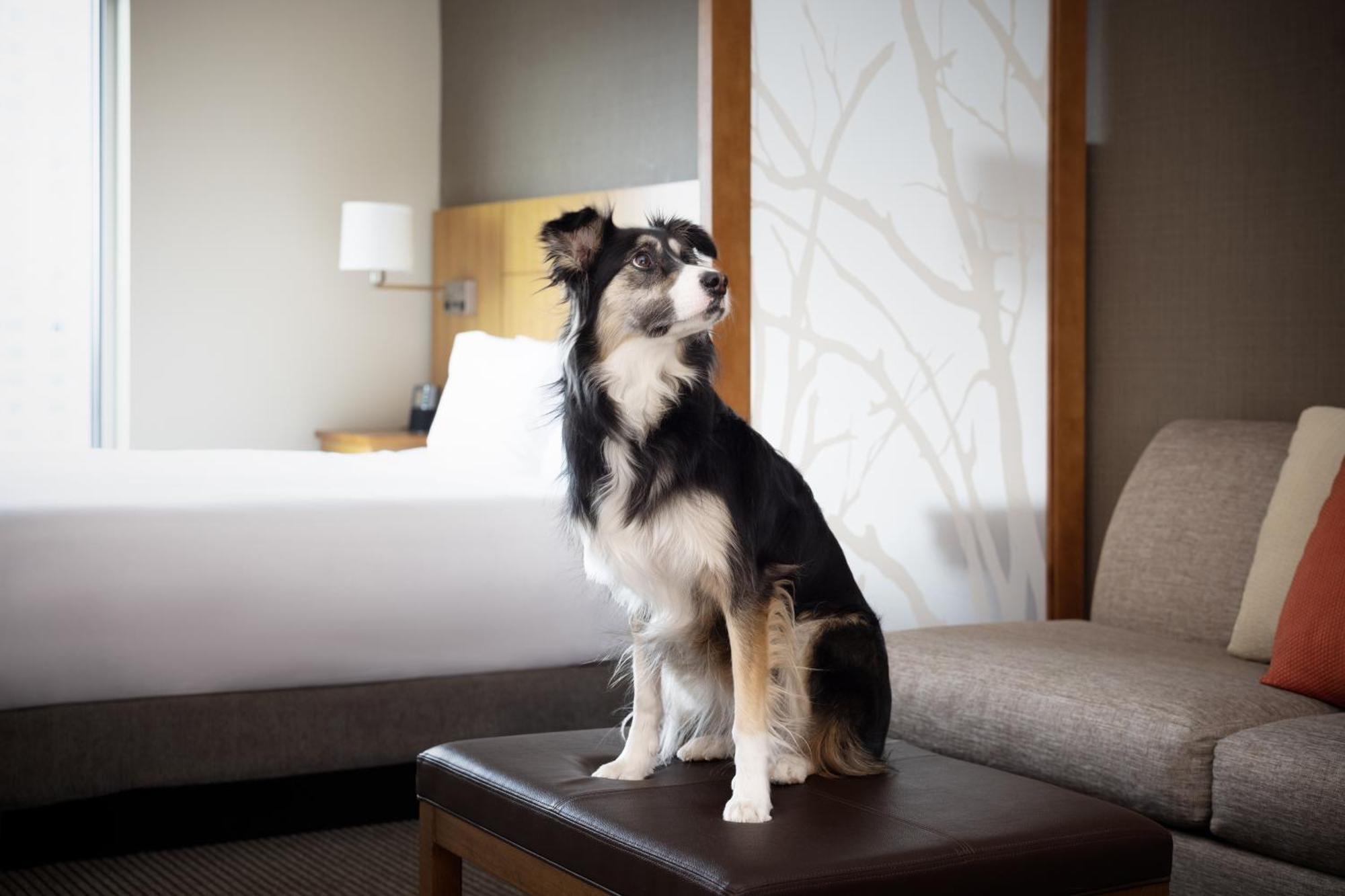 ไฮแอท เพลซ เดนเวอร์ ดาวน์ทาวน์ Hotel ภายนอก รูปภาพ